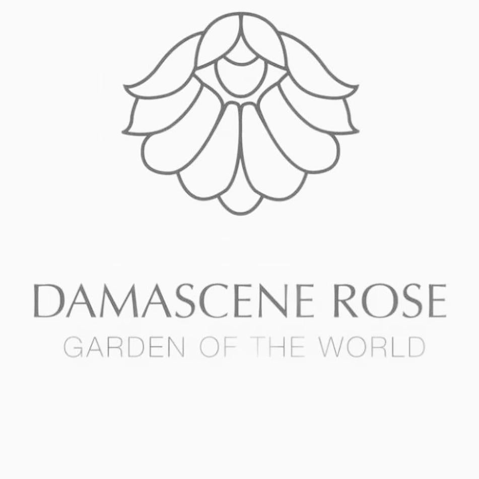 Damascus Rose